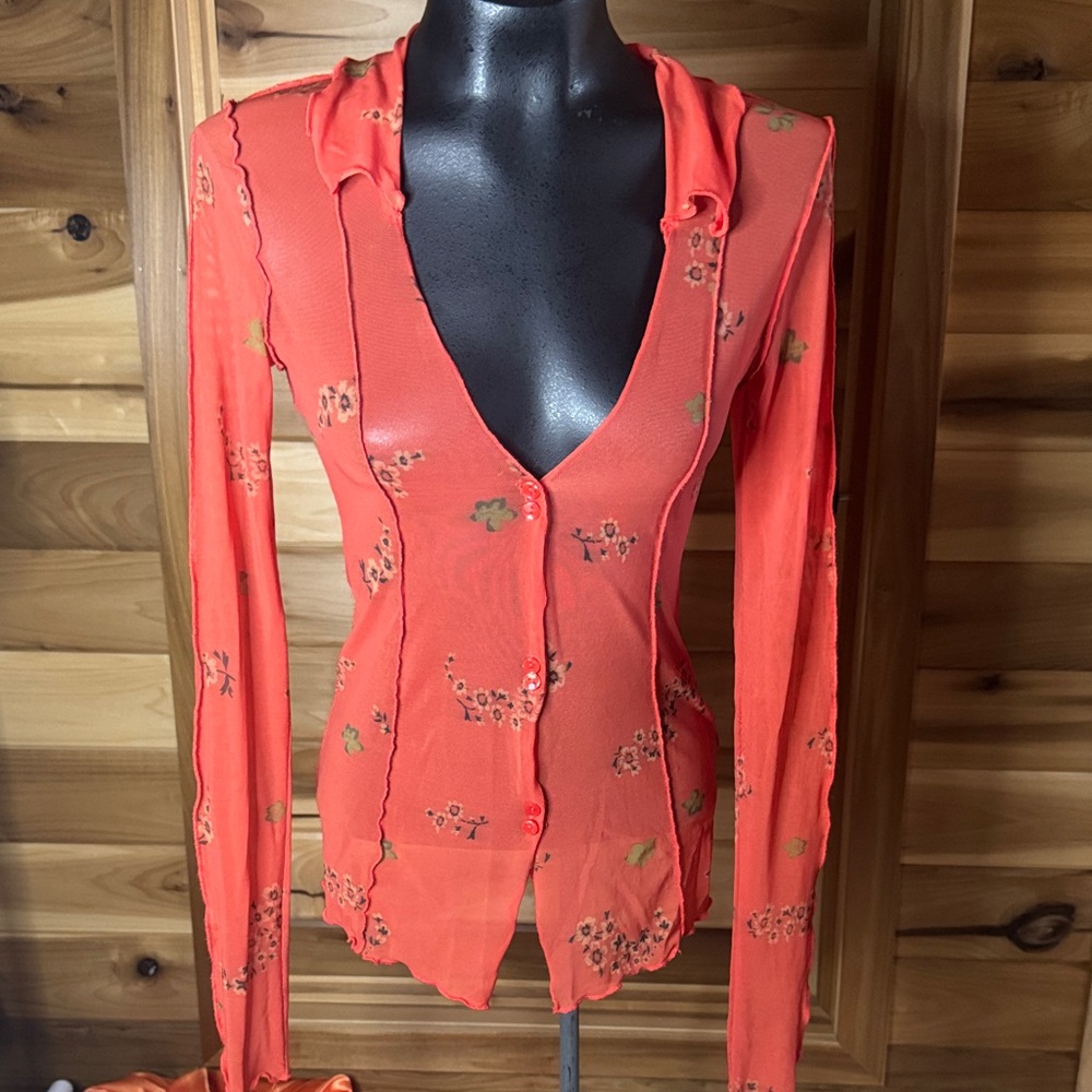 Sheer Long Sleeve Blouse